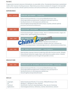 金融行业英文应聘求职简历模板_简介doc文档Word模板下载