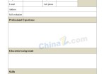个人应聘求职简历表格英文版_简介doc文档Word模板下载