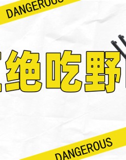 拒绝吃野味——野生动物保护Office PPT免费模板背景素材下载