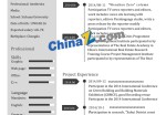 系统工程师英文应聘求职简历模板_简介doc文档Word模板下载