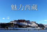 西藏风光特色介绍旅游Office PPT免费模板背景素材下载