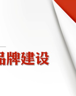 布衣公子的企业中高层培训系列之品牌建设PPT培训课件,包括：品牌知识概述、品牌价值与品牌资产、品牌建设概述、品牌建设实施四个部分。使用字体：华康俪金黑W8(P)